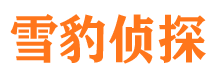 虎林市婚姻出轨调查